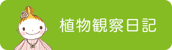 植物観察日記
